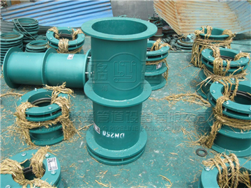 <a href=http://www.www.libing-china.com target=_blank class=infotextkey>防水套管</a>